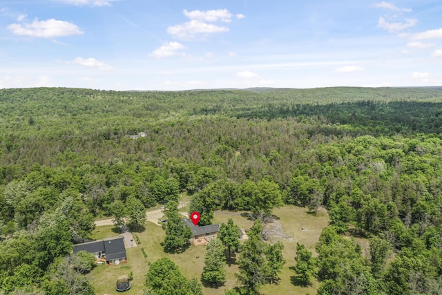2460 Irish Way, Roscommon, MI 48653