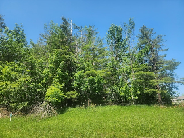 13 Rvers Ridge Ct, Cheboygan, MI 49721