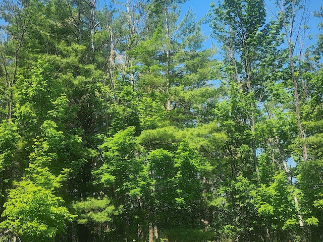 13 Rvers Ridge Ct, Cheboygan, MI 49721