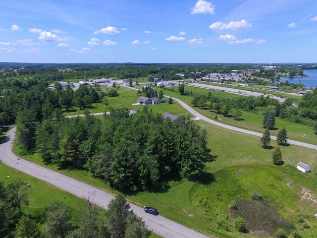 13 Rvers Ridge Ct, Cheboygan, MI 49721