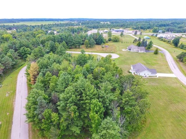 13 Rvers Ridge Ct, Cheboygan, MI 49721