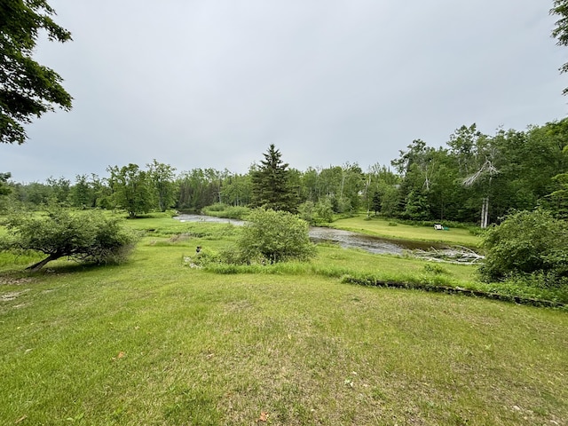 13333 S Black River Rd, Onaway, MI 49765 - view of yard with a water view and a view of trees