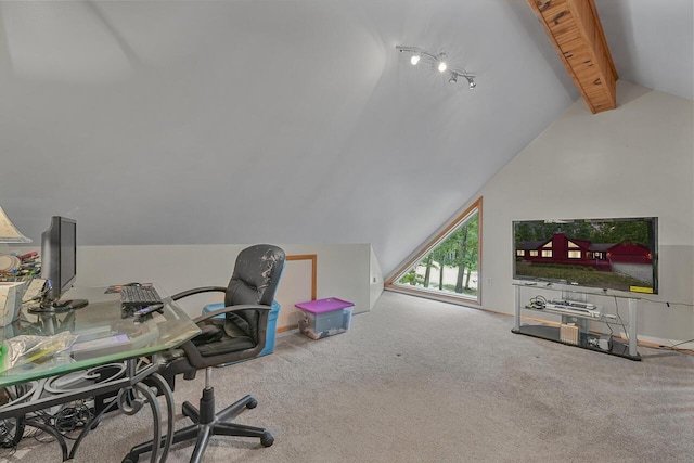 416 Crystal Ln, Roscommon, MI 48653 - photo 33