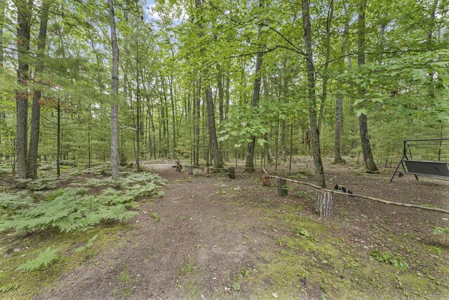 416 Crystal Ln, Roscommon, MI 48653 - photo 45