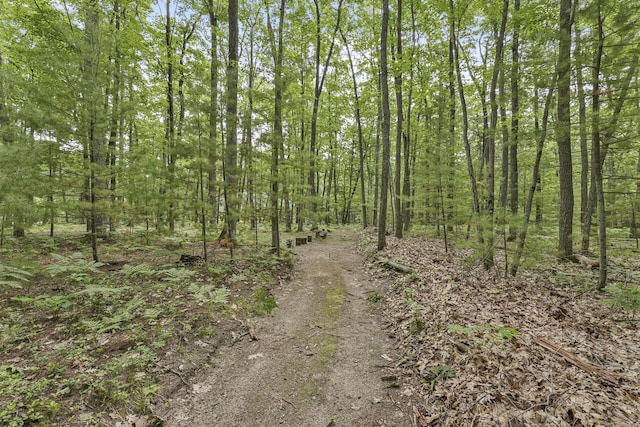 416 Crystal Ln, Roscommon, MI 48653 - photo 46