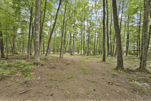 416 Crystal Ln, Roscommon, MI 48653 - photo 48