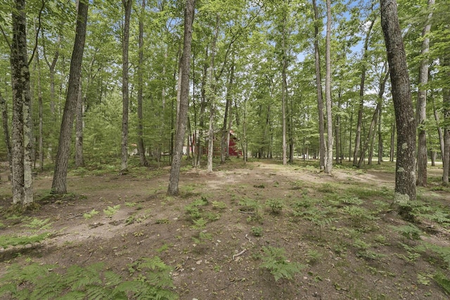 416 Crystal Ln, Roscommon, MI 48653 - photo 47