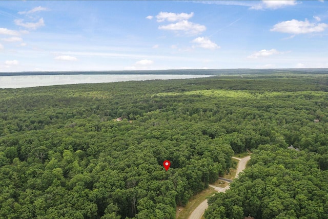 416 Crystal Ln, Roscommon, MI 48653 - photo 55