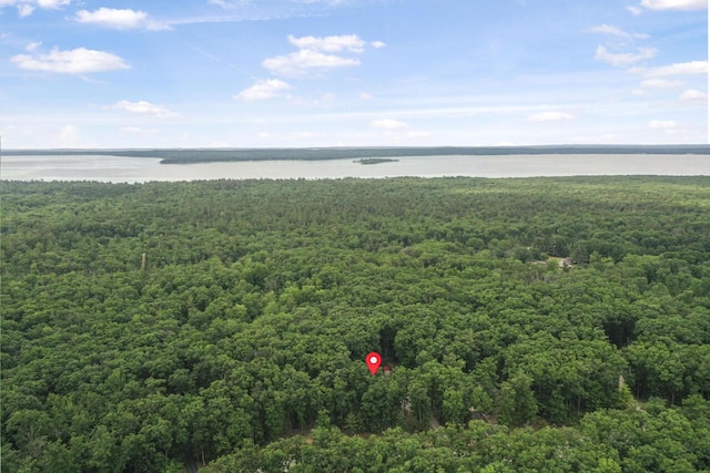 416 Crystal Ln, Roscommon, MI 48653 - photo 53