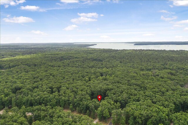 416 Crystal Ln, Roscommon, MI 48653 - photo 54