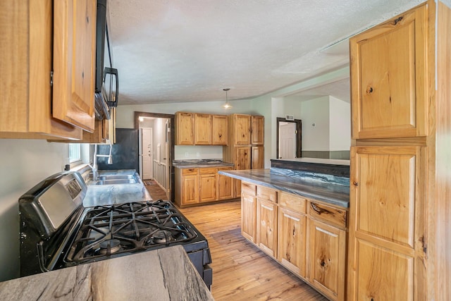 7539 E M-32, Johannesburg, MI 49751 - kitchen with stainless steel appliances, light wood-type flooring, vaulted ceiling, a textured ceiling, and dark countertops