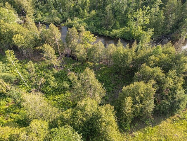 ParcelB W 638 Highway, Onaway, MI 49765