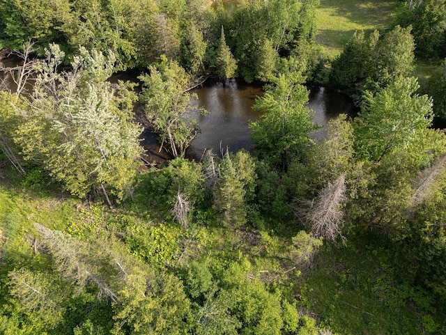 ParcelB W 638 Highway, Onaway, MI 49765