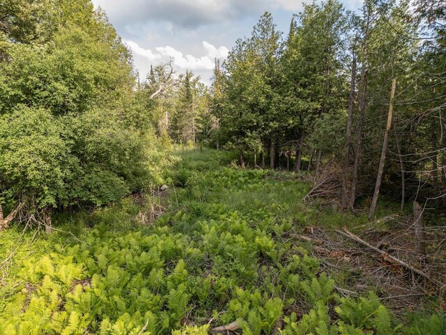 ParcelB W 638 Highway, Onaway, MI 49765