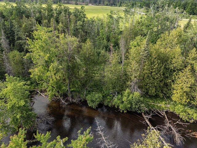 ParcelB W 638 Highway, Onaway, MI 49765