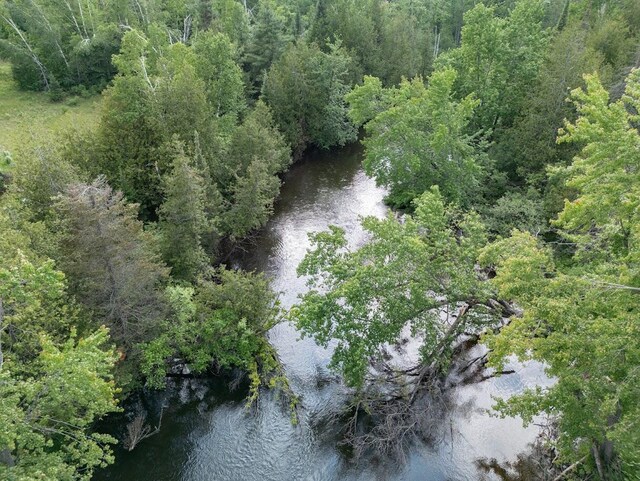 ParcelB W 638 Highway, Onaway, MI 49765