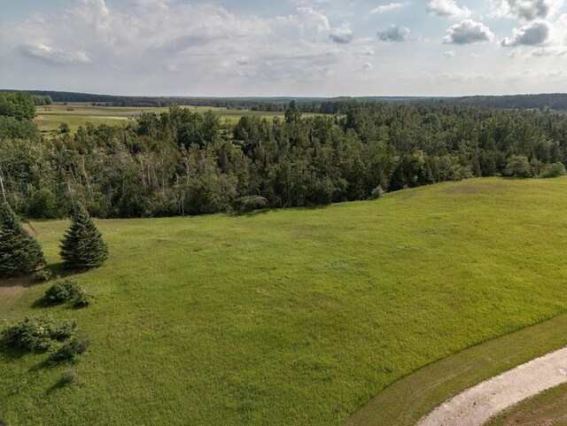 ParcelB W 638 Highway, Onaway, MI 49765