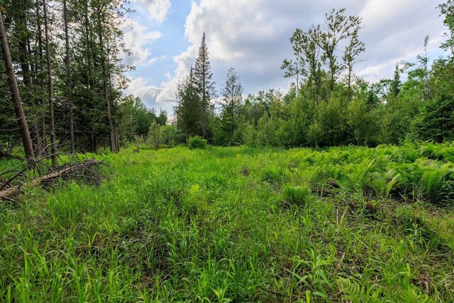 ParcelB W 638 Highway, Onaway, MI 49765