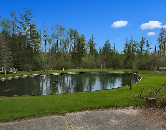13655 Pulp Rd, Atlanta, MI 49709 - photo 3