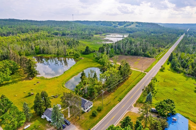 4951 Sparr Rd, Gaylord, MI 49735 - photo 23