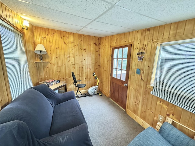 2833 S Horseshoe Trl, Grayling, MI 49738 - carpeted living area with wooden walls and baseboards