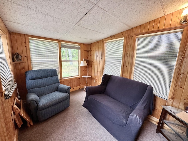 2833 S Horseshoe Trl, Grayling, MI 49738 - carpeted living area featuring wooden walls