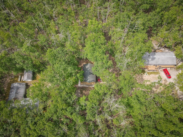 18680 Red Pine Dr, Hillman, MI 49746 - aerial view of property and surrounding area