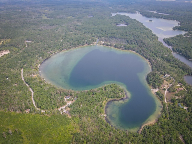 18680 Red Pine Dr, Hillman, MI 49746 - drone / aerial view of a large body of water