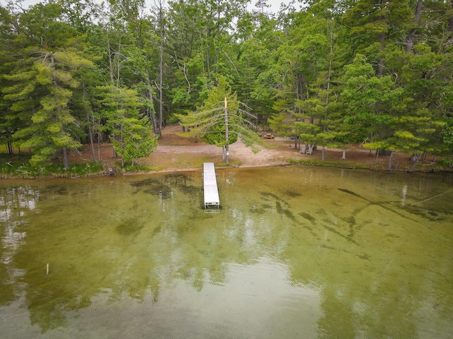 18680 Red Pine Dr, Hillman, MI 49746 - water view