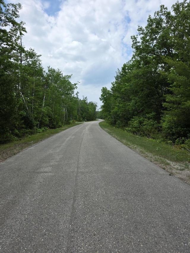 Balsam Cir, Presque Isle, MI 49777 - photo 4