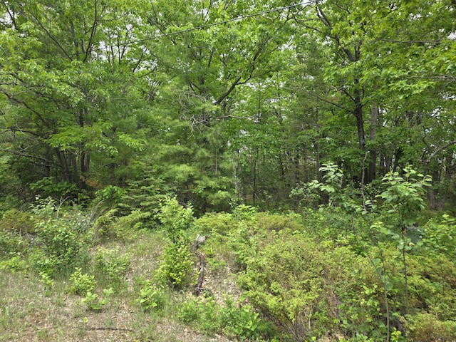 Balsam Cir, Presque Isle, MI 49777 - photo 1