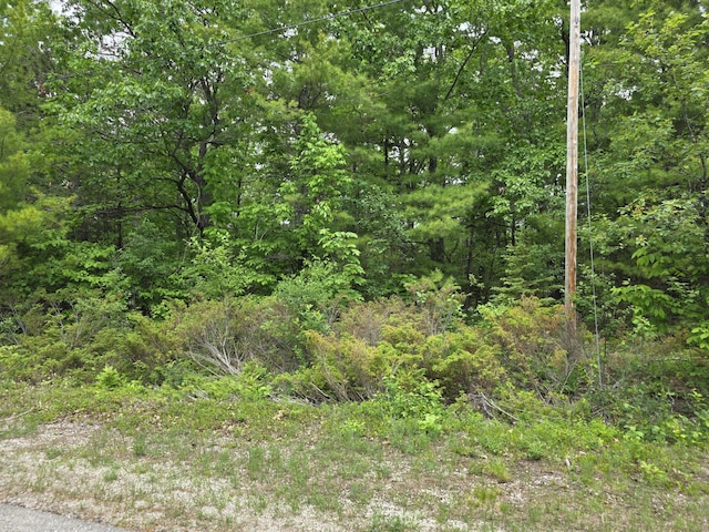 Balsam Cir, Presque Isle, MI 49777 - photo 3