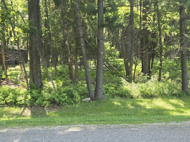 V/L Danish Landing Rd, Grayling, MI 49738