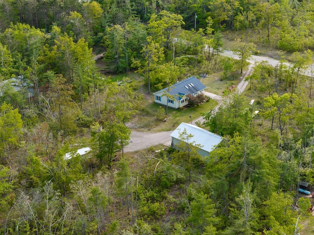 10134 Upper Mograin Rd, Cheboygan, MI 49721 - aerial view of property and surrounding area with a forest