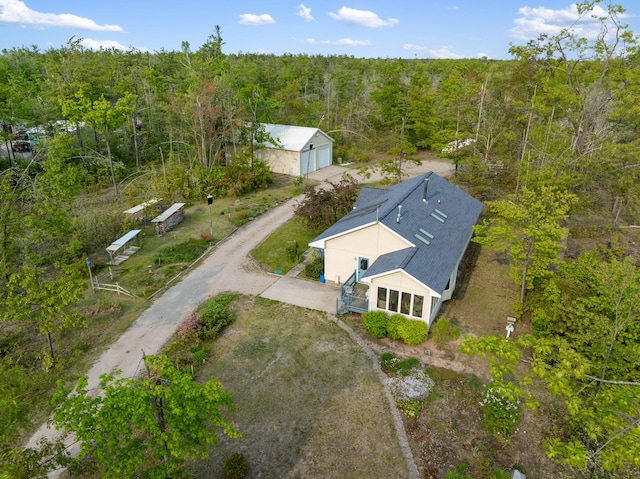 10134 Upper Mograin Rd, Cheboygan, MI 49721 - view from above of property with a heavily wooded area