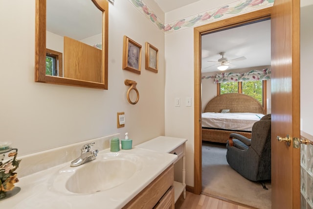 10134 Upper Mograin Rd, Cheboygan, MI 49721 - ensuite bathroom featuring vanity, wood finished floors, and ceiling fan