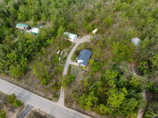 10134 Upper Mograin Rd, Cheboygan, MI 49721 - bird's eye view