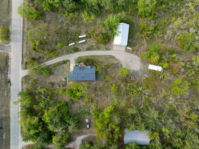 10134 Upper Mograin Rd, Cheboygan, MI 49721 - bird's eye view