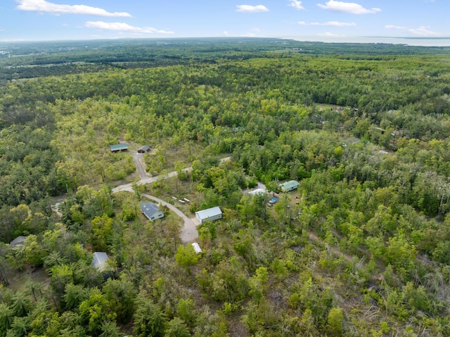 10134 Upper Mograin Rd, Cheboygan, MI 49721 - view of property location featuring a heavily wooded area