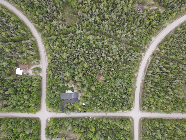17203 Balsam Dr, Presque Isle, MI 49777 - photo 39