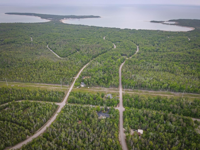 17203 Balsam Dr, Presque Isle, MI 49777 - photo 40