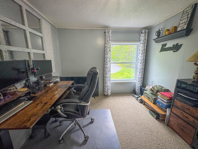 17203 Balsam Dr, Presque Isle, MI 49777 - photo 27