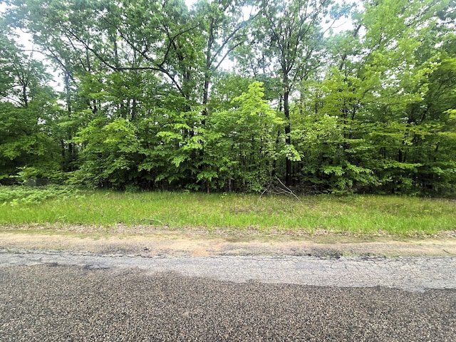 LOT413 Michaywe Dr, Gaylord, MI 49735 - photo 3