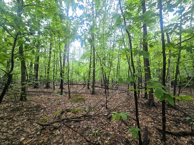 LOT413 Michaywe Dr, Gaylord, MI 49735 - photo 5