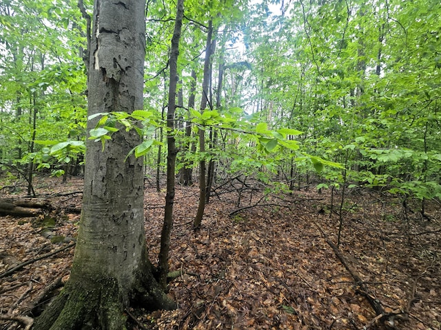LOT413 Michaywe Dr, Gaylord, MI 49735 - photo 4