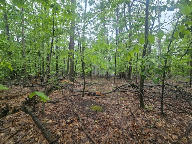 LOT413 Michaywe Dr, Gaylord, MI 49735 - photo 6