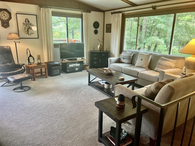 268 Yorke Trl, Grayling, MI 49738 - carpeted living room featuring vaulted ceiling