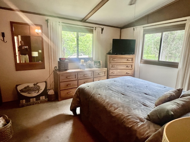 268 Yorke Trl, Grayling, MI 49738 - bedroom featuring lofted ceiling and carpet floors