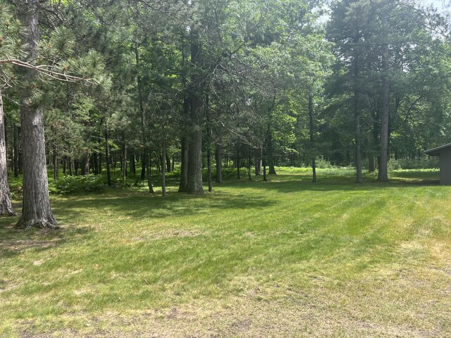 268 Yorke Trl, Grayling, MI 49738 - view of green lawn