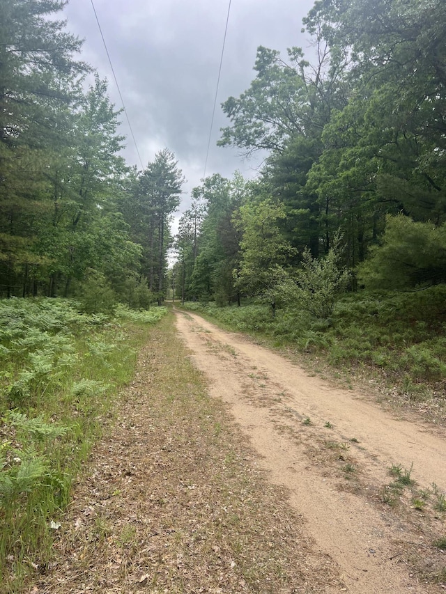 268 Yorke Trl, Grayling, MI 49738 - view of road